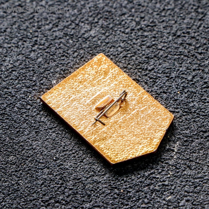 Значок Значок "Ударник труда"