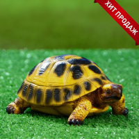 Садовая фигура "Черепашка" 17х11см Садовая фигура "Черепашка" 17х11см