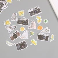 Наклейки для творчества "Коты, жёлтые цветы и фото" 3,5х5 см набор 40 шт 9,4х8,4х0,5 см Наклейки для творчества "Коты, жёлтые цветы и фото" 3,5х5 см набор 40 шт 9,4х8,4х0,5 см