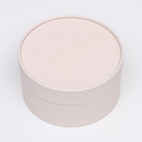 Подарочная коробка "Wewak" пудра, завальцованная без окна, 18 х 10 см Подарочная коробка "Wewak" пудра, завальцованная без окна, 18 х 10 см