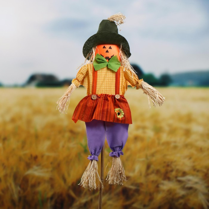 Огородное пугало &laquo;Тыква&raquo;, h = 100 см, МИКС. Greengo