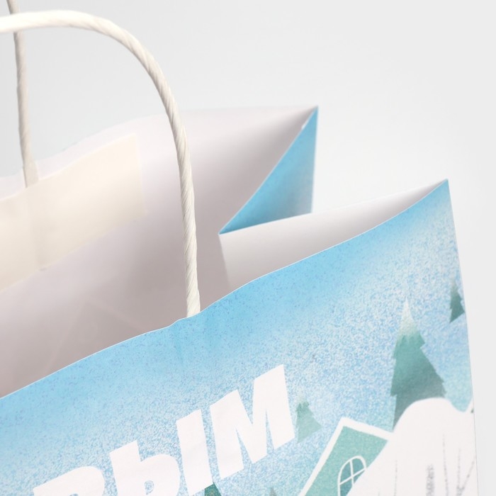 Пакет подарочный новогодний крафтовый &laquo;Вместе с тобой&raquo;, 28 х 32 х 15 см, Новый год