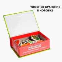 Развивающие магниты &laquo;Изучаем цвета и овощи - фрукты&raquo; (набор 25 шт.)