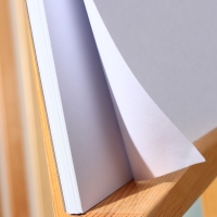 Скетчбук А4, 32 листа, 190 г/м2 &laquo;Девушка с сережкой&raquo;