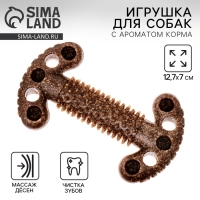 Игрушка для собак жевательная со ароматом корма &laquo;Кость с шипами&raquo;, 12.7 х 2.5 см