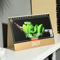 Календарь настольный, домик "Символ года - 2" 2025, 14 х 20 см Календарь настольный, домик "Символ года - 2" 2025, 14 х 20 см