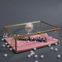 Органайзер для хранения &laquo;Кристалл&raquo;, с крышкой, стеклянный, 1 секция, 20 &times; 16,8 &times; 9 см, цвет прозрачный/медный/розовый