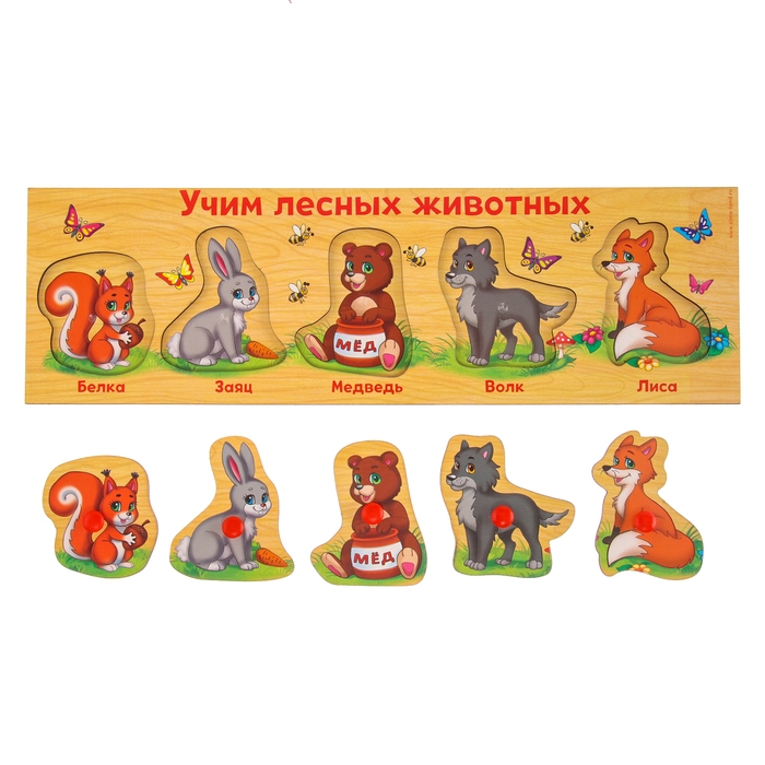 Рамка - вкладыш &laquo;Учим лесных животных&raquo;, 5 элементов