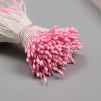 Тычинки для искусственных цветов глянец "Рисинки" розовый набор 360 шт длина 6 см Тычинки для искусственных цветов глянец "Рисинки" розовый набор 360 шт длина 6 см