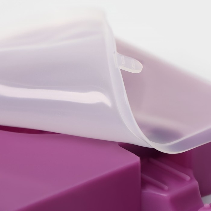 Форма для мороженого «Любовь», силикон, 19,5×11×2,5 см, 2 ячейки, с крышкой и палочками (50 шт), цвет МИКС Форма для мороженого «Любовь», силикон, 19,5×11×2,5 см, 2 ячейки, с крышкой и палочками (50 шт), цвет МИКС