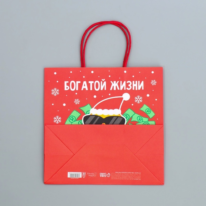 Пакет подарочный новогодний крафтовый &laquo;Что-то на богатом&raquo;, 22 х 22 х 11 см