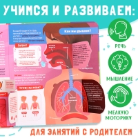 Книга с окошками «Как устроено моё тело?», 55 окошек, энциклопедия Книга с окошками «Как устроено моё тело?», 55 окошек, энциклопедия