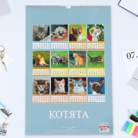 Календарь перекидной на ригеле А3 "Котята" 2025, 32 х 48 см Календарь перекидной на ригеле А3 "Котята" 2025, 32 х 48 см