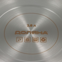 Кастрюля из нержавеющей стали &laquo;Грейт&raquo;, 2,8 л, индукция