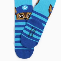 Колготки PAW PATROL &laquo;Гончик&raquo;, цвет голубой, синий, 98-104 см