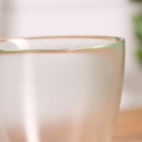 Горшок цветочный с поддоном №2 "Алеб" прозрачный, 0,85 л