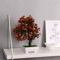 Бонсай в горшке "Деревце очарованье" 10х22 см, микс Бонсай в горшке "Деревце очарованье" 10х22 см, микс