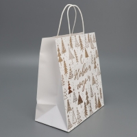 Пакет подарочный новогодний крафтовый &laquo;Новогодняя пора&raquo;, 22 х 25 х 12 см, Новый год