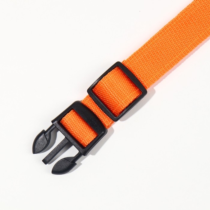 Ошейник с подсветкой размер XL, ОШ 52-60 х 2,5 см, 3 режима свечения оранжевый Ошейник с подсветкой размер XL, ОШ 52-60 х 2,5 см, 3 режима свечения оранжевый