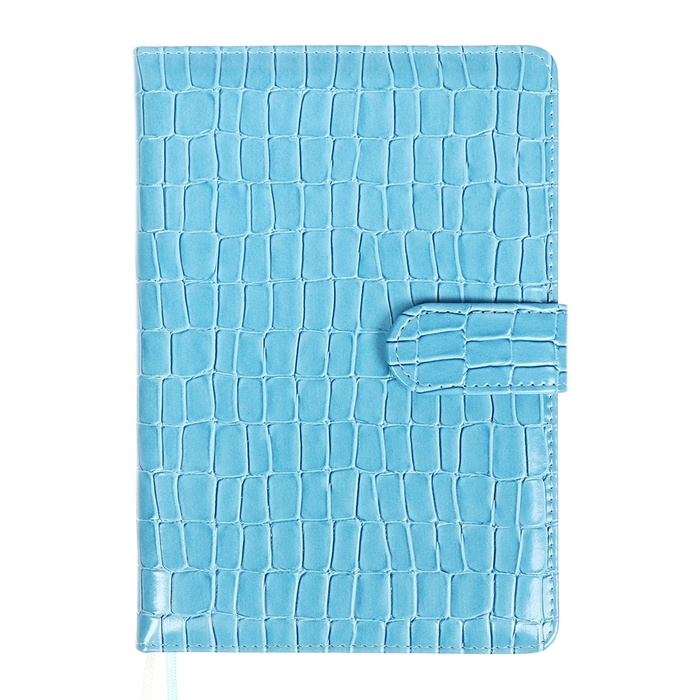 Ежедневник датированный 2025 года A5, 168 листов, deVENTE. Barbara, твердая обложка кожзам с поролоном, перфорацией, ляссе, блок 70, голубой