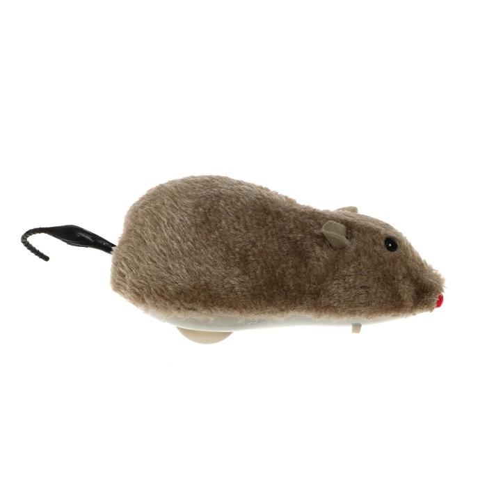 Игрушка заводная &laquo;Мышка&raquo;, цвета МИКС