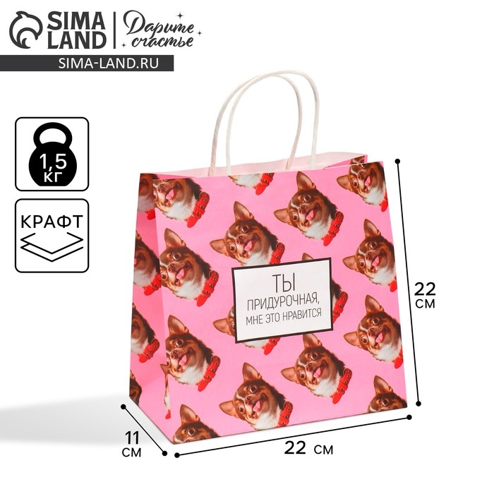 Пакет подарочный, упаковка, &laquo;Киса&raquo;, 22 х 22 х 11 см
