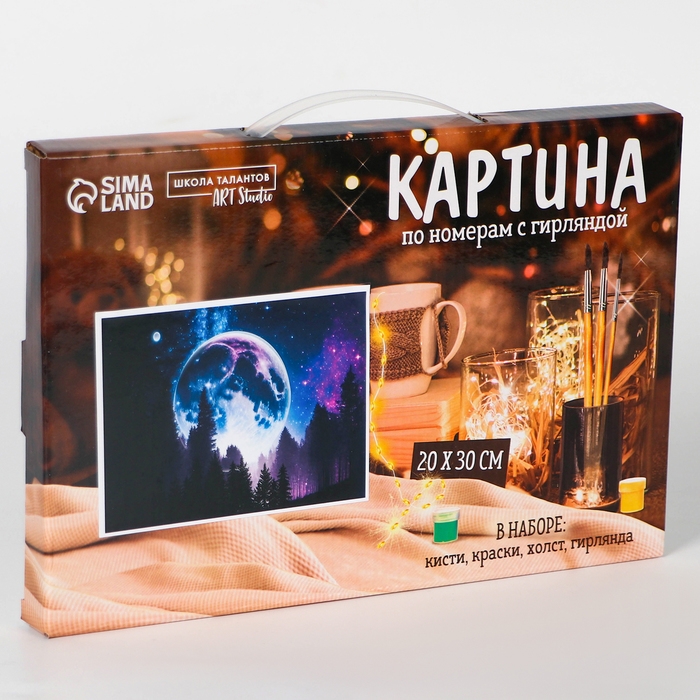 Картина по номерам с подрамником и гирляндой &laquo;Космос&raquo;, 20 х 30 см