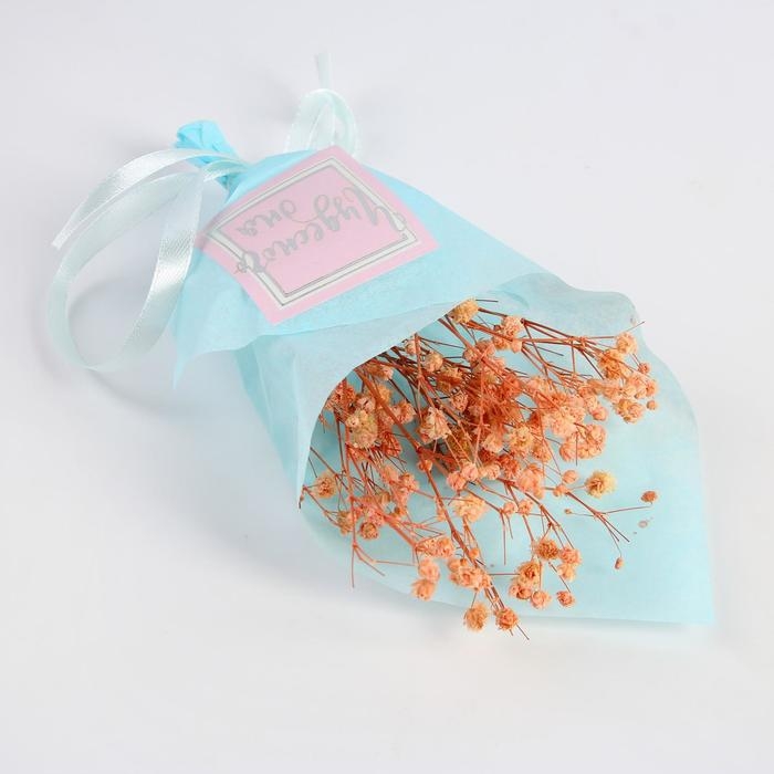 Букет из сухоцветов «Чудесного дня», 13 × 21 × 5 см Букет из сухоцветов «Чудесного дня», 13 × 21 × 5 см