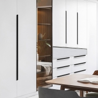 Ручка торцевая CAPPIO RT002BL, L=600 мм, м/о 480 мм, цвет черный Ручка торцевая CAPPIO RT002BL, L=600 мм, м/о 480 мм, цвет черный