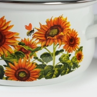 Набор кастрюль &laquo;Подсолнечник&raquo;, 3 предмета: 2 л, 3 л, 4 л, эмалированная сталь, стеклянные крышки