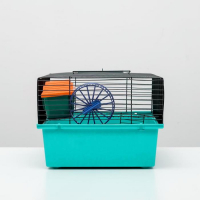 Клетка для грызунов "Пижон" №4, с этажом, укомплектованная, 37х26х18 см, бирюзовая Клетка для грызунов "Пижон" №4, с этажом, укомплектованная, 37х26х18 см, бирюзовая