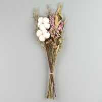 Сухоцветы &laquo;Хлопок&raquo;, набор из 4 видов, 47 &times; 21,5 &times; 9 см