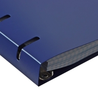 Тетрадь на кольцах A5 120 листов в клетку Calligrata Синяя, пластиковая обложка, блок офсет Тетрадь на кольцах A5 120 листов в клетку Calligrata Синяя, пластиковая обложка, блок офсет