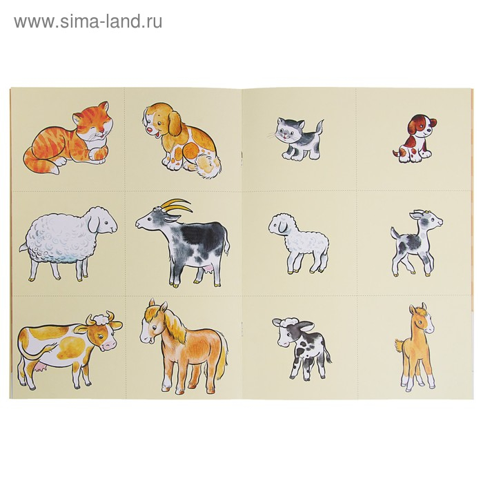 12 книг с картонной вкладкой «Полный годовой курс от 1 до 2 лет», Денисова Д. 12 книг с картонной вкладкой «Полный годовой курс от 1 до 2 лет», Денисова Д.