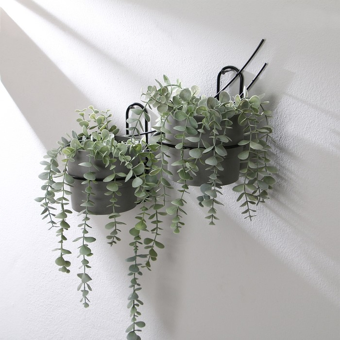 Подвес для кашпо, настенный, на 2 горшка, d=16 см, чёрный, &laquo;Взлёт - 2&raquo;