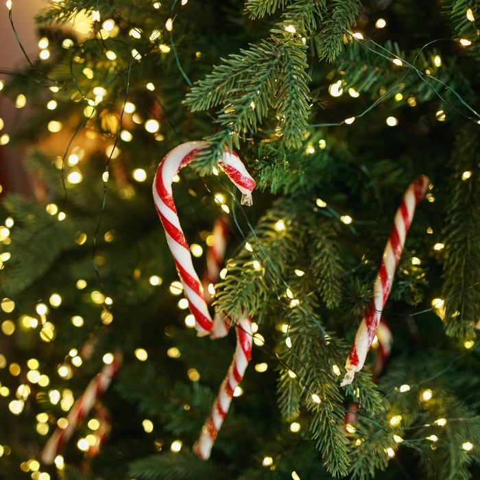 Гирлянда &laquo;Нить&raquo; 50 м роса, IP44, зелёная нить, 500 LED, свечение тёплое белое, 8 режимов, 31 В