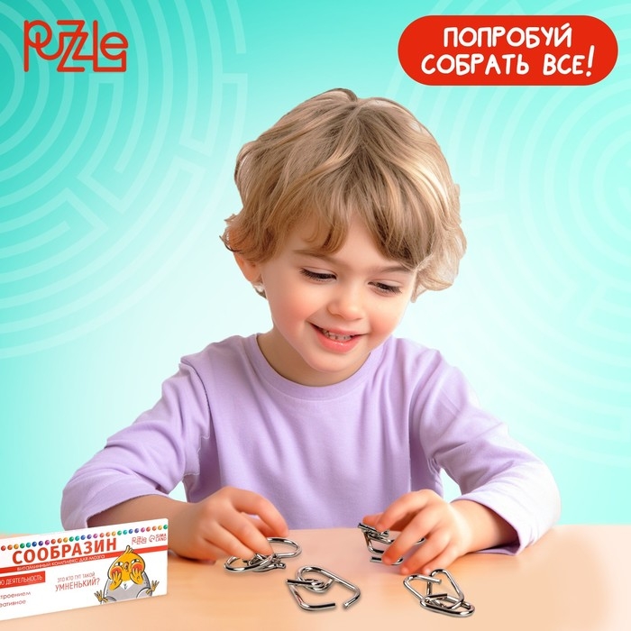 Набор головоломок &laquo;Сообразин&raquo;, 4 шт.