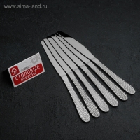 Ножи столовые Доляна &laquo;Фараон&raquo;, длина 20 см, 6 шт, цвет серебряный