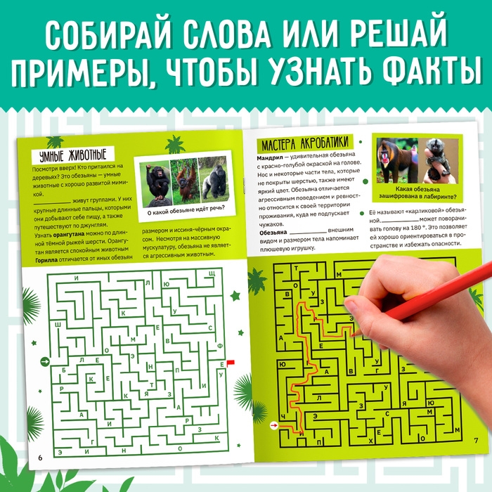 Набор обучающих книг &laquo;Лабиринты и факты&raquo;, 6 шт.