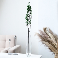 Сухие цветы «Молочай Миля», 25 г, длина — 70 см, цвет зелёный Сухие цветы «Молочай Миля», 25 г, длина — 70 см, цвет зелёный