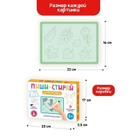 Обучающие карточки &laquo;Пиши-Стирай&raquo;