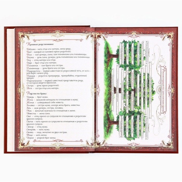 Родословная книга с новогодним пояском &laquo;Новый год: Каждый день&raquo;, 16,5 х 24 см.