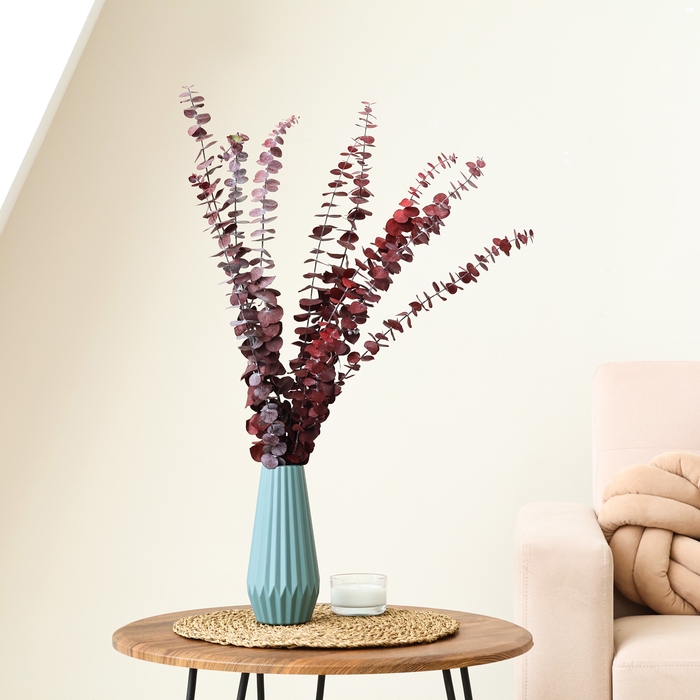 Сухоцвет &laquo;Эвкалиптовое дерево&raquo;, красный, 10 шт. в упаковке