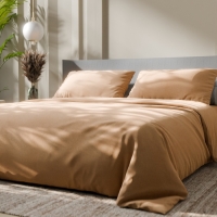 Постельное бельё Этель Евро &laquo;Песчаный берег&raquo; 200х215, 220х240, 50х70-2 шт, 100% хлопок, бязь 125г/м2