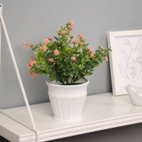 Бонсай в горшке "Гомфрена премиум" 21х10 см, микс Бонсай в горшке "Гомфрена премиум" 21х10 см, микс