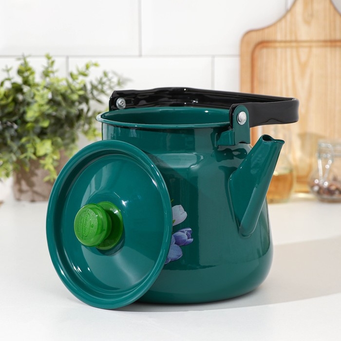 Чайник эмалированный, 3,5 л, с декором МИКС, цвет бирюзовый