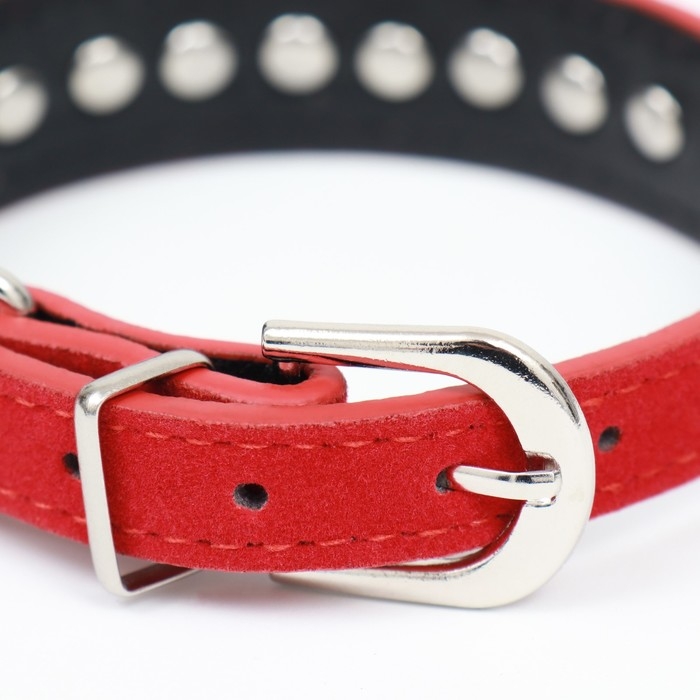 Ошейник Ошейник "Бархат и стразы", 31 х 1,3/2 см, ОШ 22-28 см, красный