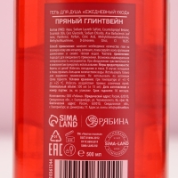 Гель для душа, интенсивное увлажнение, 500 мл, аромат пряного глинтвейна, Новый Год