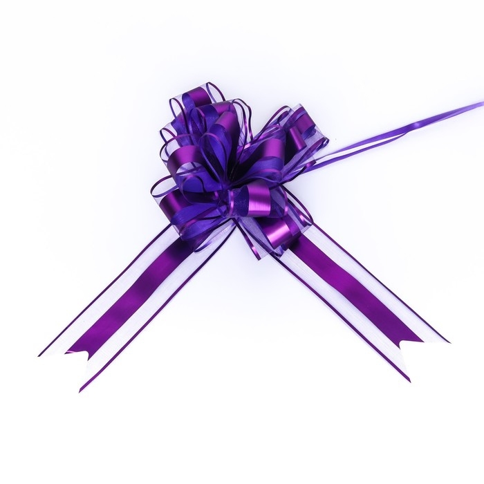 Бант-шар №6.5