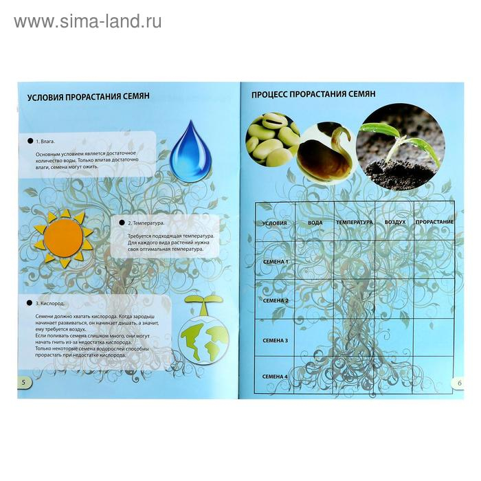 Набор для опытов «Наука о растениях», 16 опытов Набор для опытов «Наука о растениях», 16 опытов